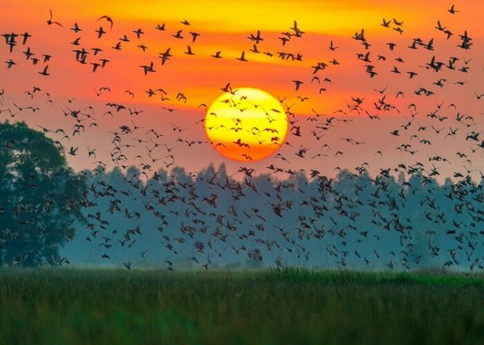 Seize the vibrant spirit of Ca Mau Travel